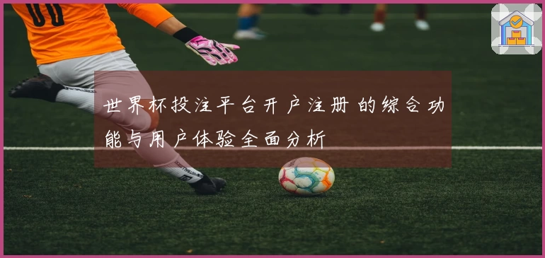 世界杯投注平台开户注册 的综合功能与用户体验全面分析