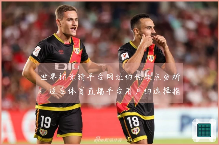 世界杯竞猜平台网址的优缺点分析，适合体育直播平台用户的选择指南