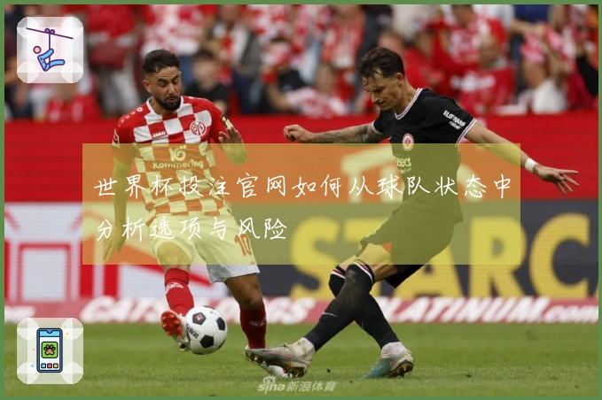 世界杯投注官网如何从球队状态中分析选项与风险