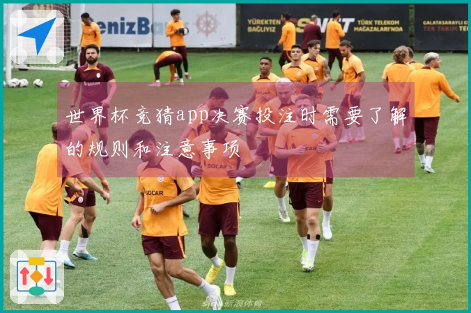 世界杯竞猜app决赛投注时需要了解的规则和注意事项