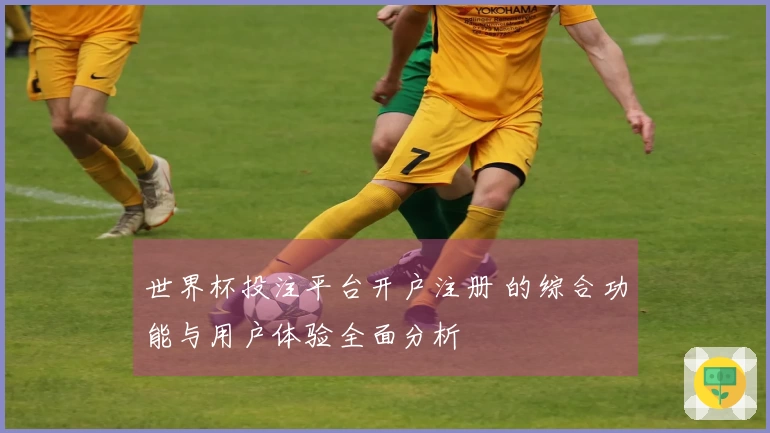世界杯投注平台开户注册 的综合功能与用户体验全面分析
