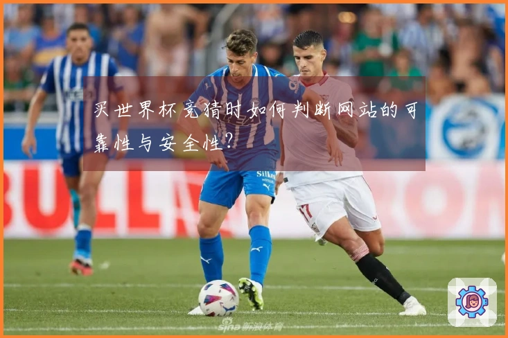 买世界杯竞猜时如何判断网站的可靠性与安全性？