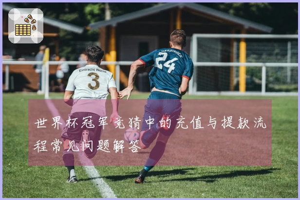 世界杯冠军竞猜中的充值与提款流程常见问题解答