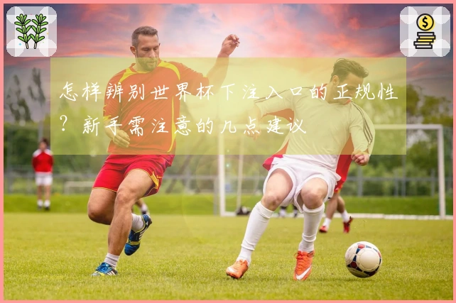 怎样辨别世界杯下注入口的正规性?新手需注意的几点建议
