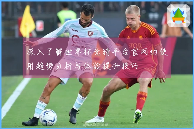 深入了解世界杯竞猜平台官网的使用趋势分析与体验提升技巧