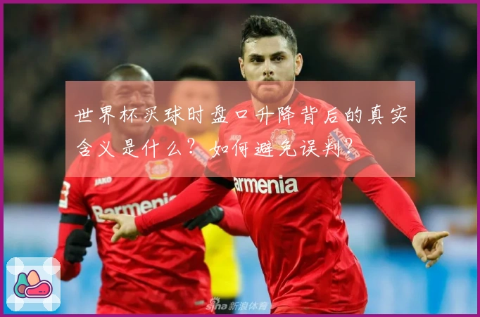 世界杯买球时盘口升降背后的真实含义是什么？如何避免误判？