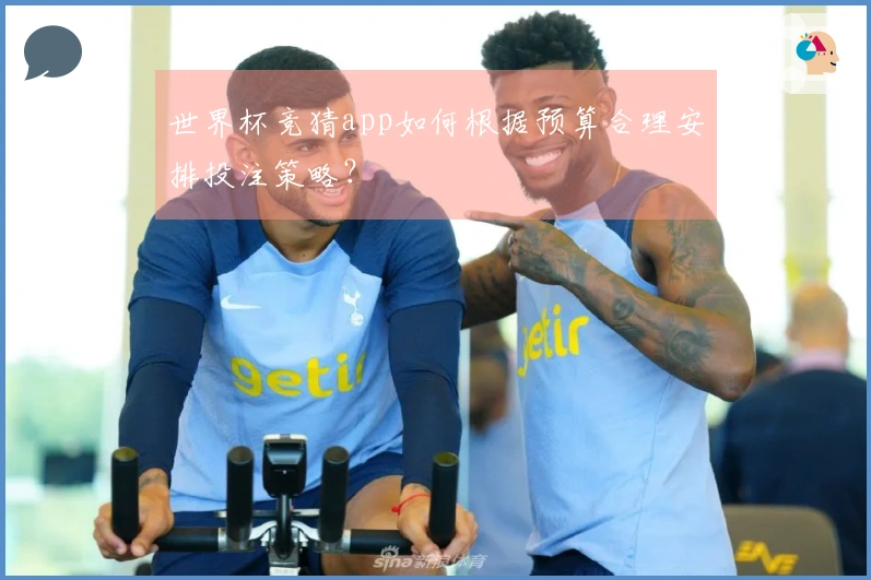 世界杯竞猜app如何根据预算合理安排投注策略？