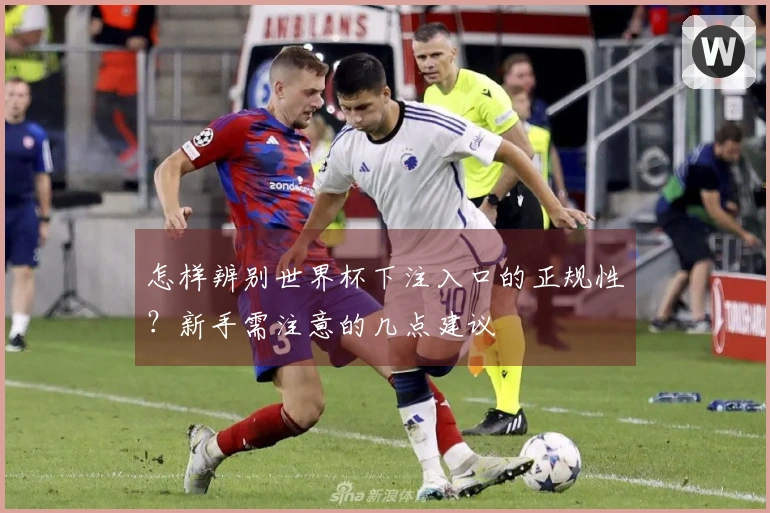 怎样辨别世界杯下注入口的正规性？新手需注意的几点建议