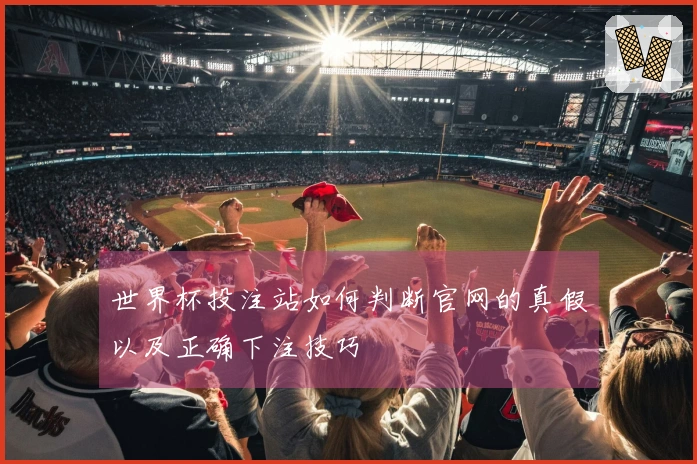 世界杯投注站如何判断官网的真假以及正确下注技巧