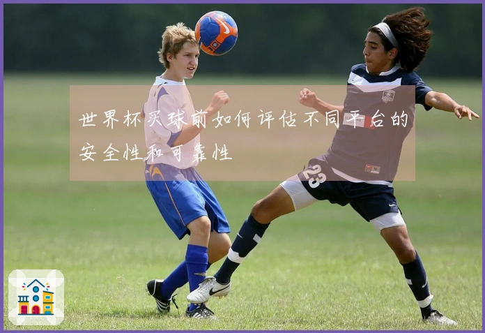 世界杯买球前如何评估不同平台的安全性和可靠性