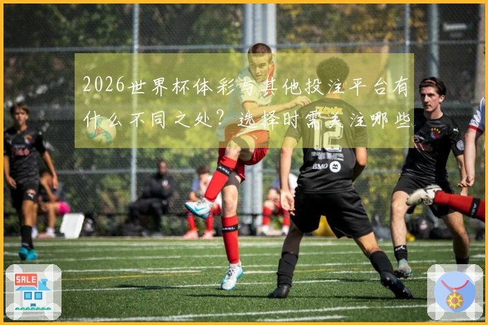 2026世界杯体彩与其他投注平台有什么不同之处？选择时需关注哪些关键要素？