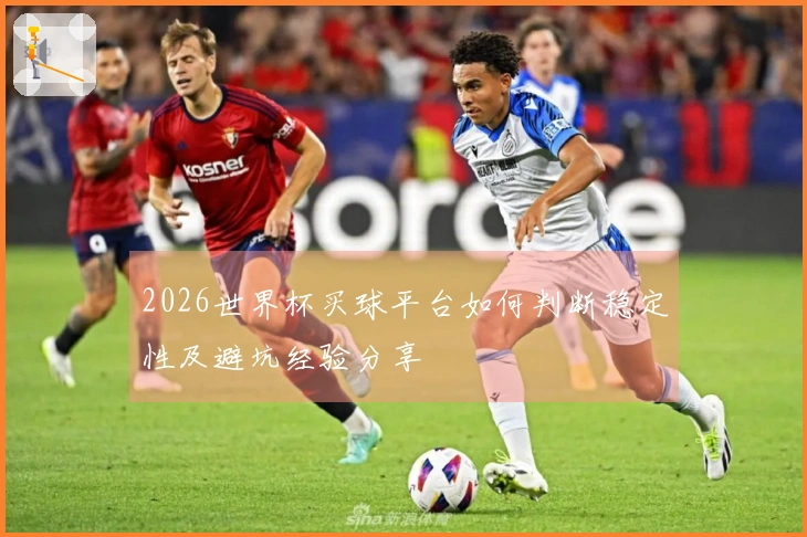 2026世界杯买球平台如何判断稳定性及避坑经验分享