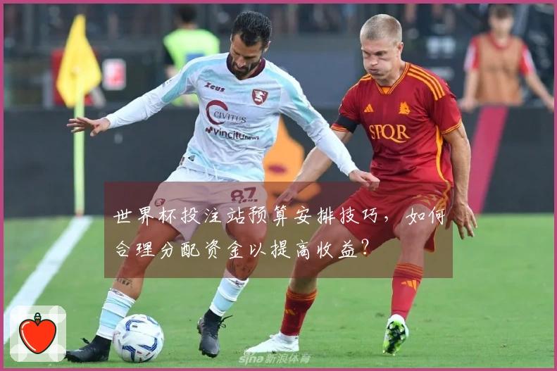 世界杯投注站预算安排技巧，如何合理分配资金以提高收益？