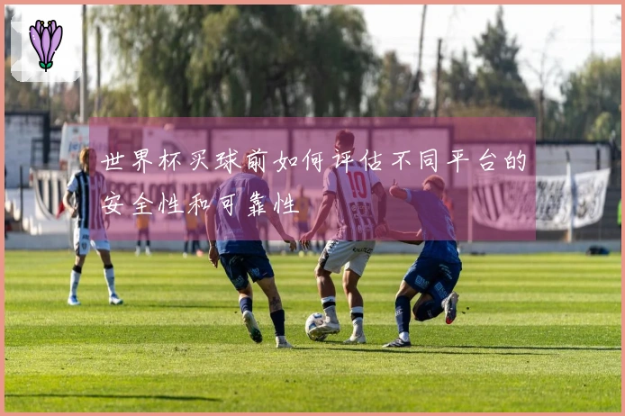 世界杯买球前如何评估不同平台的安全性和可靠性