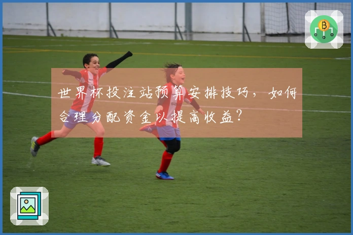 世界杯投注站预算安排技巧，如何合理分配资金以提高收益？