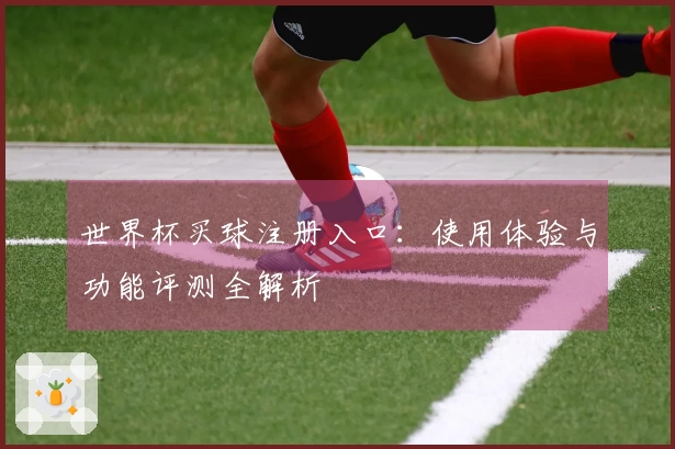 世界杯买球注册入口：使用体验与功能评测全解析